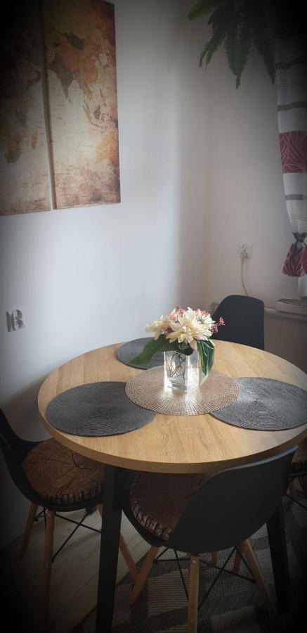 Apartament Wrzos Bieszczady Czarna  Εξωτερικό φωτογραφία