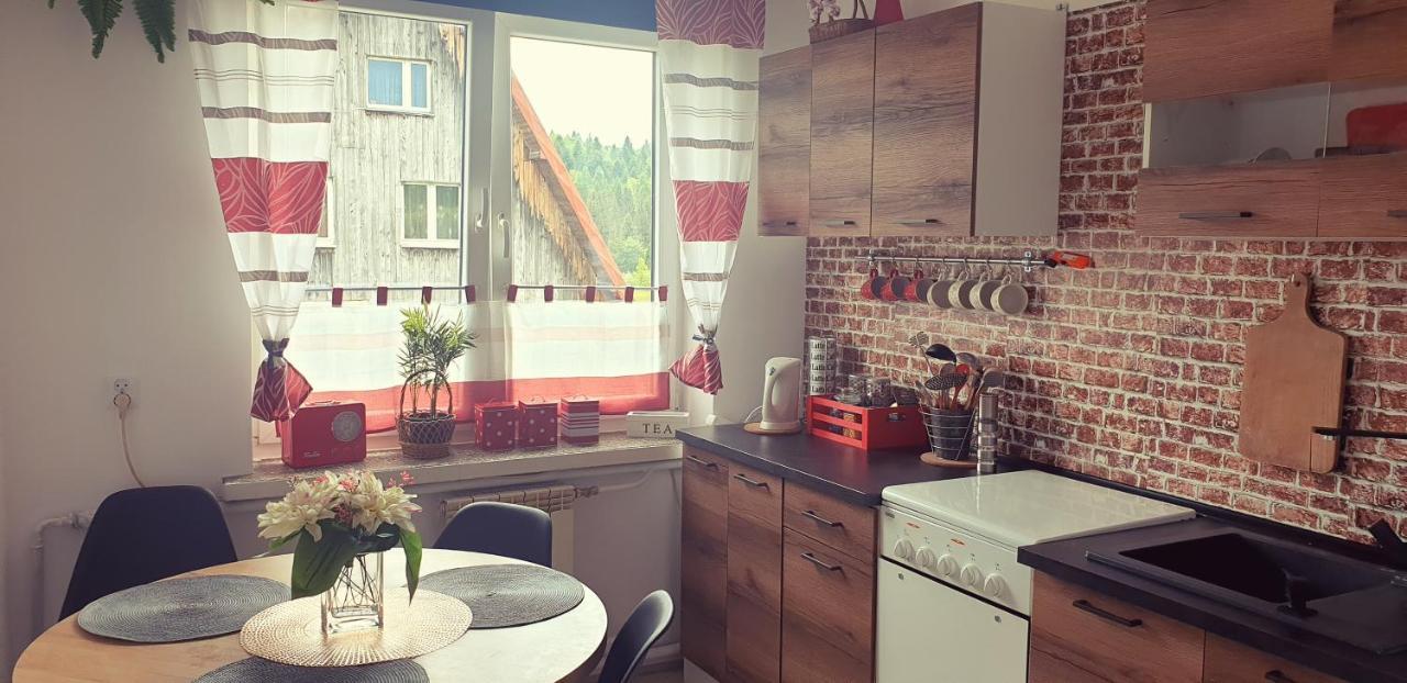 Apartament Wrzos Bieszczady Czarna  Εξωτερικό φωτογραφία